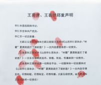 山西怀仁亲和乡：“村霸”夏勇到底打了谁的脸？