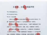 山西怀仁亲和乡：“村霸”夏勇到底打了谁的脸？