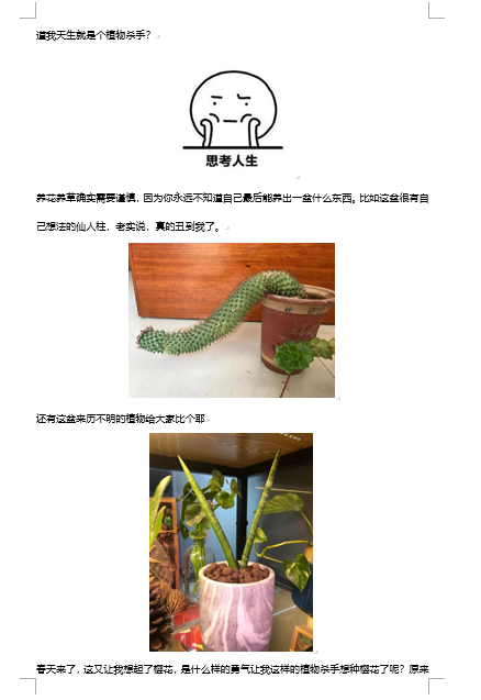 微信图片_20220318034847.png