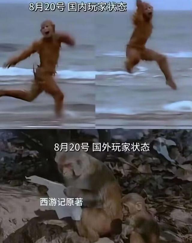 a71ea8d3fd1f4134b4f8cfd3286710c4d3c85ed2.jpg