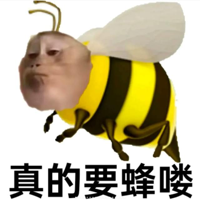 72f082025aafa40f56a9b972a61c864179f019b3.jpg